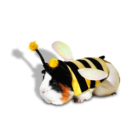 Bootique Bumblebee Small Animal Halloween Costume
