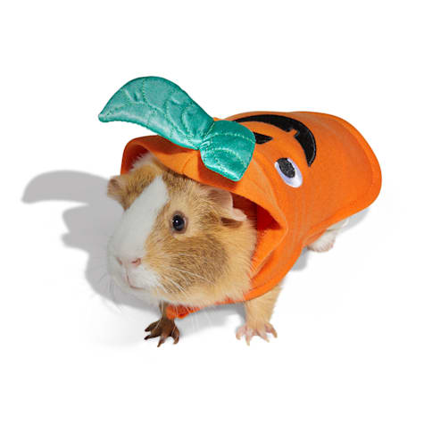 Bootique Jack-o-Lantern Small Animal Halloween Costume