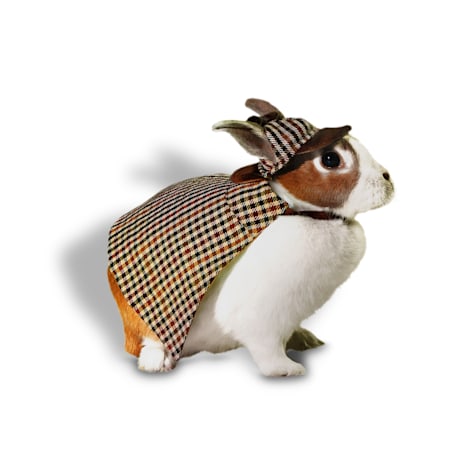 Bootique Detective Rabbit Halloween Costume
