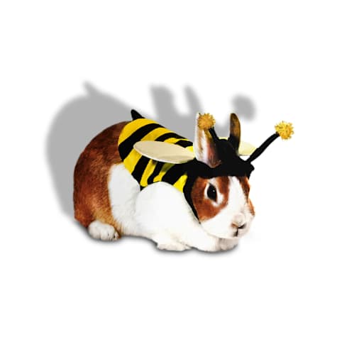 Bootique Bumblebee Rabbit Halloween Costume