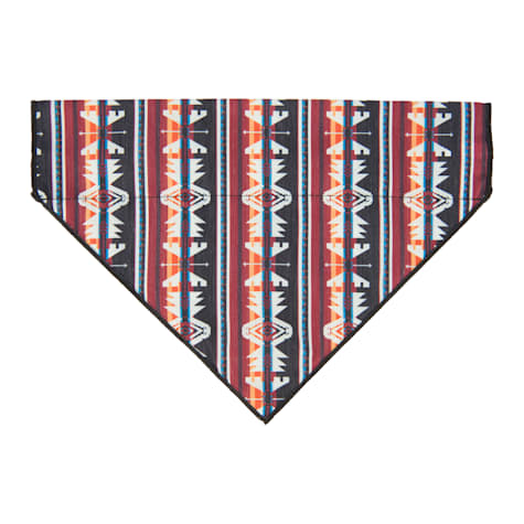 Hooey Nomad Dog Bandana