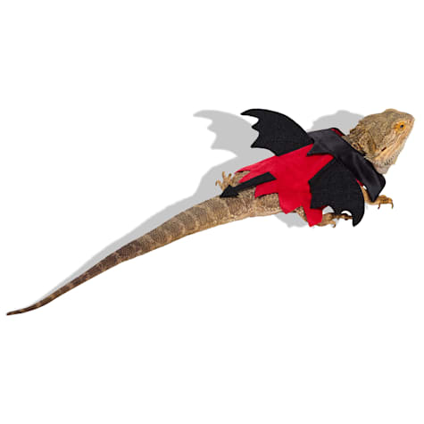 Bootique Devil Bearded Dragon Halloween Costume