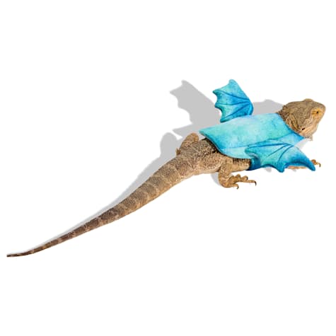 Bootique Dragon Bearded Dragon Halloween Costume