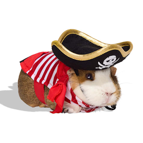 Bootique Pirate Small Animal Pet Halloween Costume