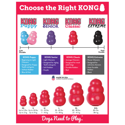 kong classic dog toy