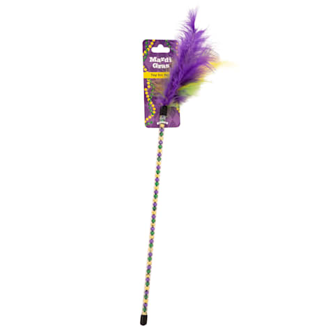 Lexington Road Mardi Gras Cat Teaser