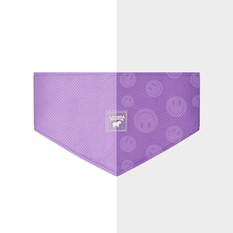 Canada Pooch Chill Seeker Cooling Bandana for Dogs