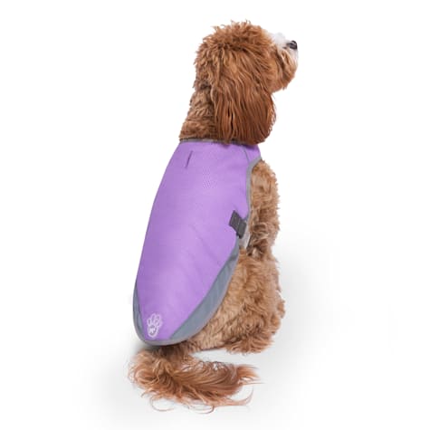 Canada Pooch Chill Seeker Cooling Vest for Dogs