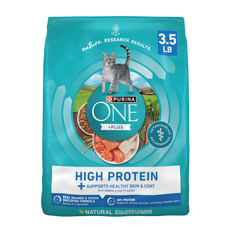 Purina ONE Plus High Protein Salmon and Ocean Whitefish Skin and Coat Health Formula Dry Cat Food