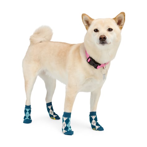 YOULY Blue Argyle Dog Socks