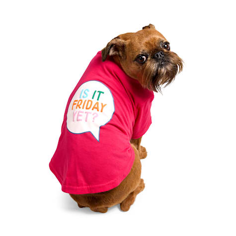 YOULY Is It Friday Yet Pet T-Shirt