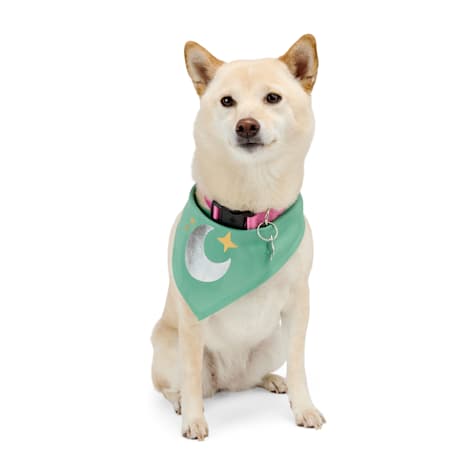 YOULY Star & Moon Pet Bandana
