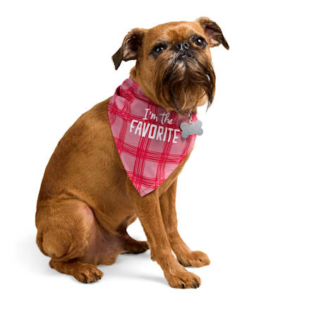 YOULY I'm the Favorite Plaid Dog Bandana