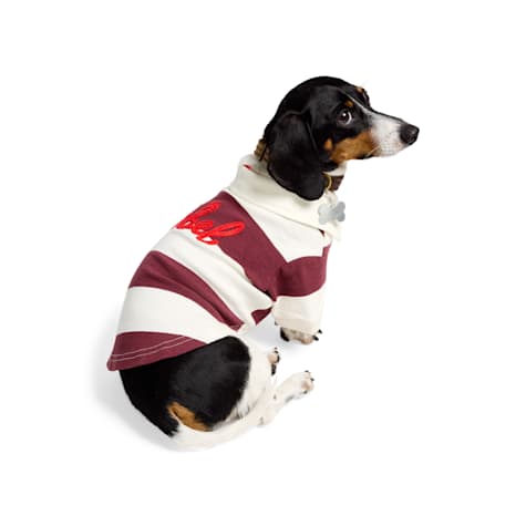 Reddy Rugby Striped Rebel Pet T-Shirt