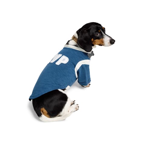 Reddy MVP Pet T-Shirt