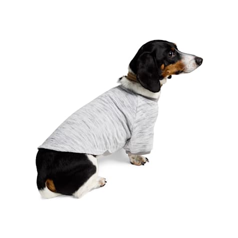 Reddy Grey Textured Pet T-Shirt