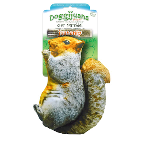 Doggijuana Get Outside Refillable Squirrel Dog Toy