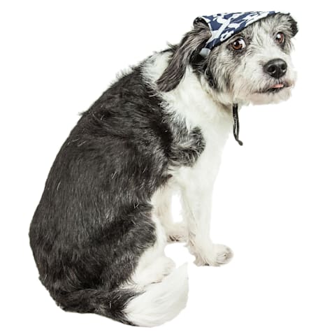 Pet Life 'Bone Cappa' Graffiti Sculptured Uv Protectant Adjustable Fashion Dog Hat Cap