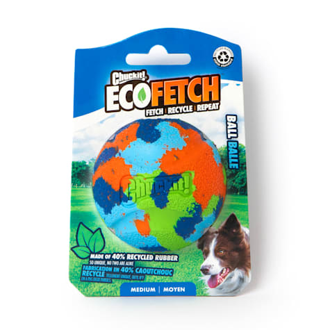 Chuckit! Ecofetch Ball Dog Toy