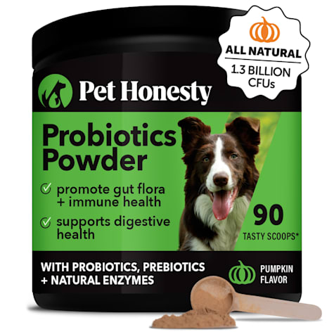 Pet Honesty Pumpkin Probiotics GI Powder for Dogs