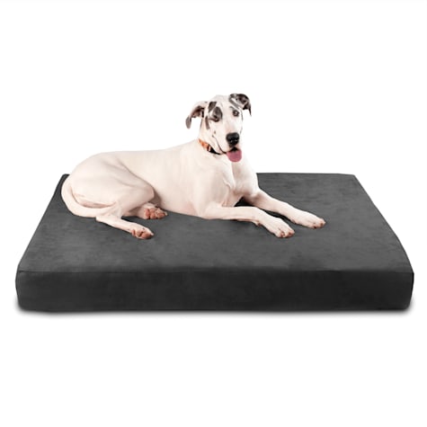 Barker Beds Sleek Giant for Dogs