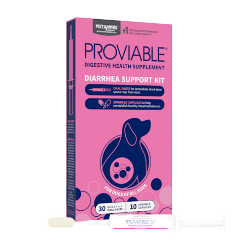 Nutramax Proviable Probiotics Diarrhea Support Kit for Dogs