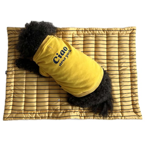 The Howls Yellow Stripe Travel Dog Mat