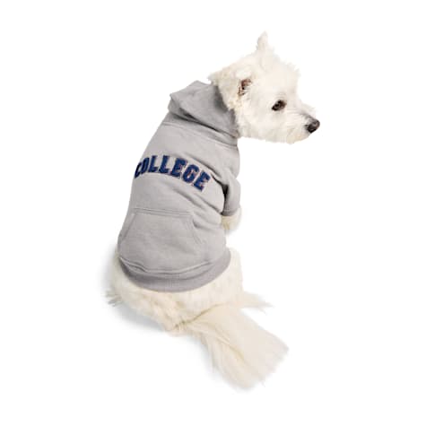 Reddy College Pet Hoodie