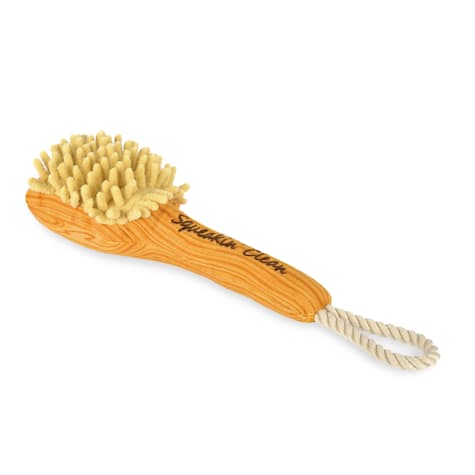 P.L.A.Y PET LIFESTYLE Splish Splash Bark n' Bristles Dog Toy