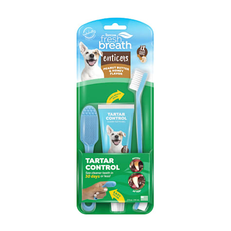 TropiClean Fresh Breath Enticers Peanut Butter & Honey Oral Care Kit for Dogs