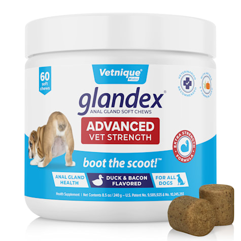 Vetnique Labs Glandex Advanced Vet Strength Anal Gland Duck & Bacon Flavor Soft Chews for Dogs