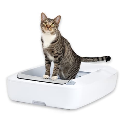 PetSafe ScoopFree Less Tracking Better Odor Control Crystal Plus Self-Cleaning Cat Litter Box