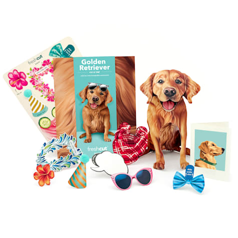 Freshcut Paper Golden Retreiver Pop-Up Greeting Card