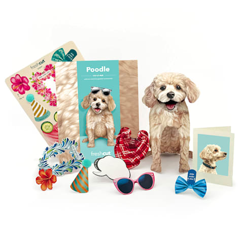 Freshcut Paper Poodle Pop-Up Greeting Card