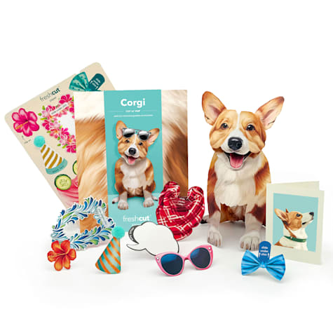 Freshcut Paper Corgi Pop-Up Greeting Card
