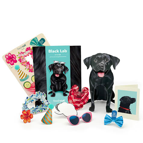 Freshcut Paper Black Lab Pop-Up Greeting Card