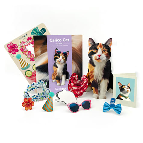 Freshcut Paper Calico Cat Pop-Up Greeting Card
