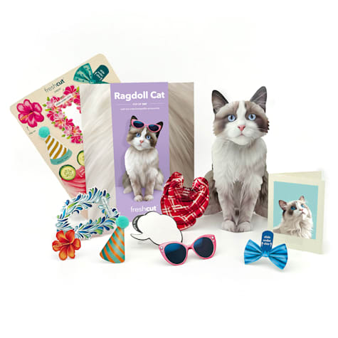 Freshcut Paper Ragdoll Cat Pop-Up Greeting Card