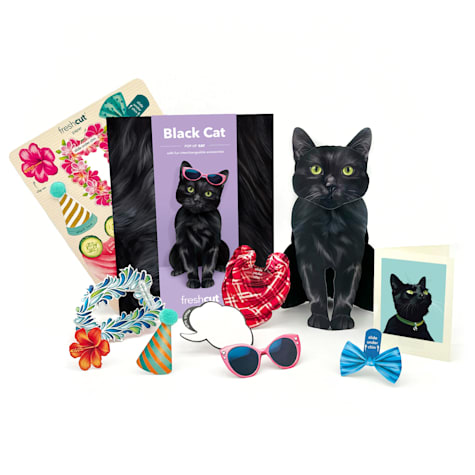Freshcut Paper Black Cat Pop-Up Greeting Card