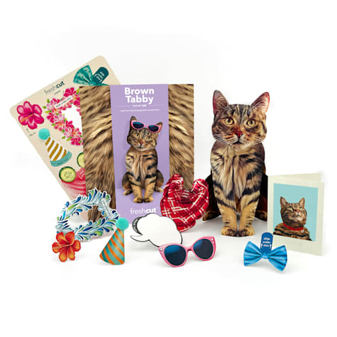 Freshcut Paper Brown Tabby Pop-Up Greeting Card