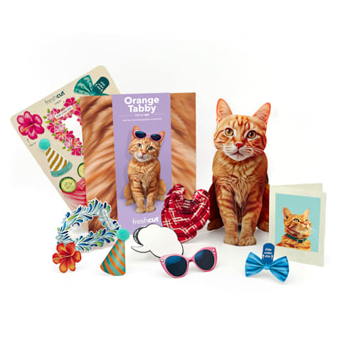 Freshcut Paper Orange Tabby Pop-Up Greeting Card