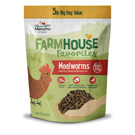 Manna Pro Farmhouse Favorites Mealworms Protein Poultry Treat, for Chicken, Turkey, Ducks, Geese, and Guinea Fowl Treat