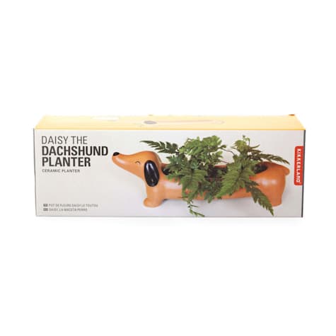 Kikkerland Design Dachshund Porcelain Planter