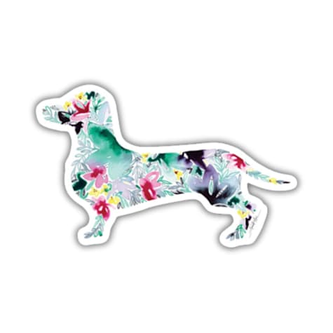 Amanda Klein Co. Dachsund Vinyl Sticker