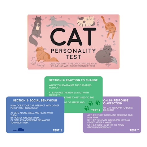 Gift Republic Cat Personality Test
