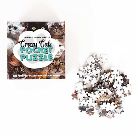 Gift Republic Crazy Cats Pocket Puzzle