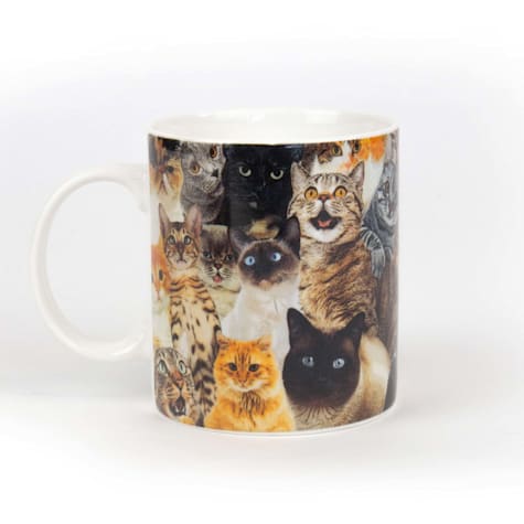 Gift Republic Crazy Cat Lady Mug