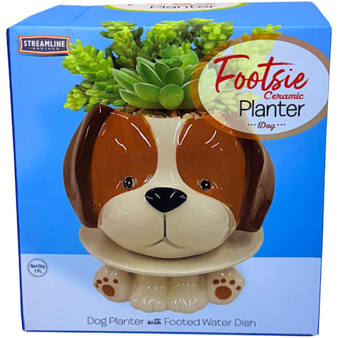 Dog Footsie Planter with Plate