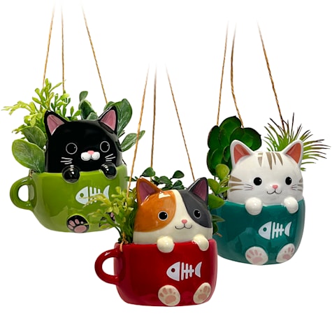 Cats in Cups Mini Hanging Planters