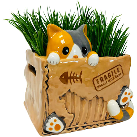 Cat in the Box Planter